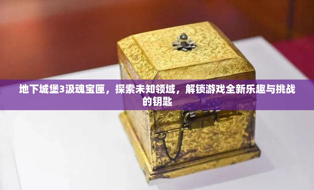 地下城堡3汲魂宝匣，探索未知领域，解锁游戏全新乐趣与挑战的钥匙