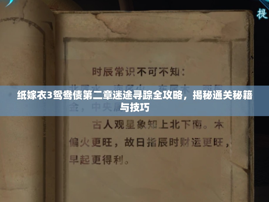 纸嫁衣3鸳鸯债第二章迷途寻踪全攻略，揭秘通关秘籍与技巧