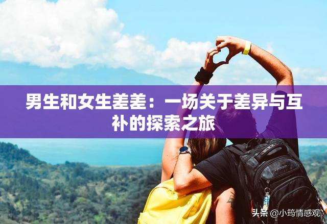 男生和女生差差：一场关于差异与互补的探索之旅