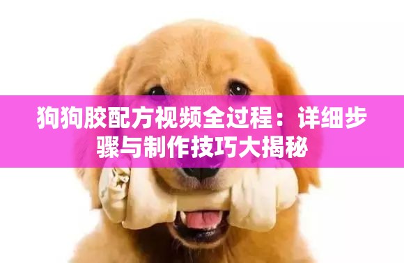 狗狗胶配方视频全过程：详细步骤与制作技巧大揭秘