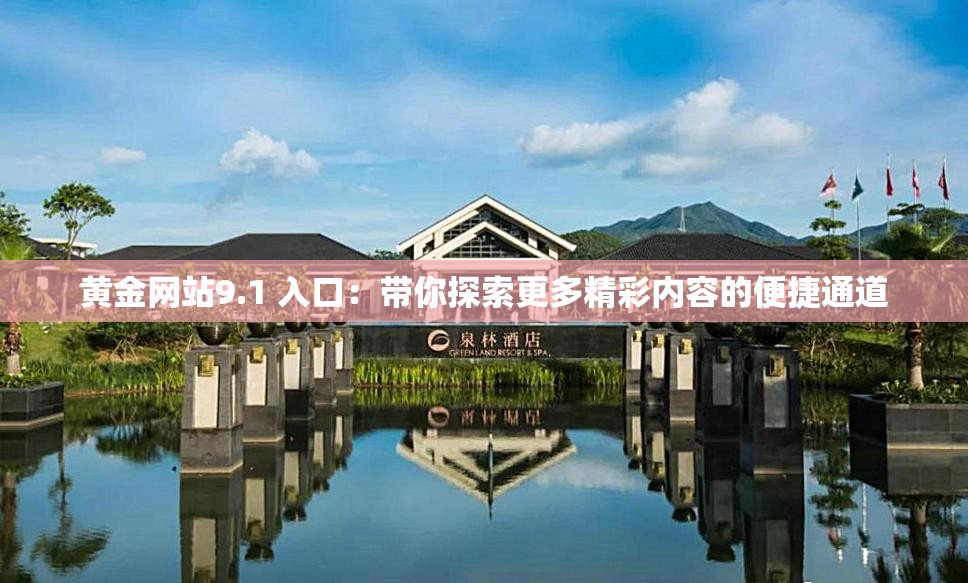 黄金网站9.1 入口：带你探索更多精彩内容的便捷通道