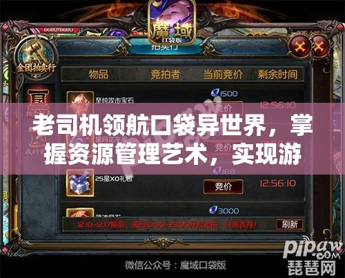 老司机领航口袋异世界，掌握资源管理艺术，实现游戏快速升级攻略