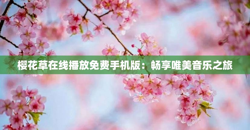 樱花草在线播放免费手机版：畅享唯美音乐之旅