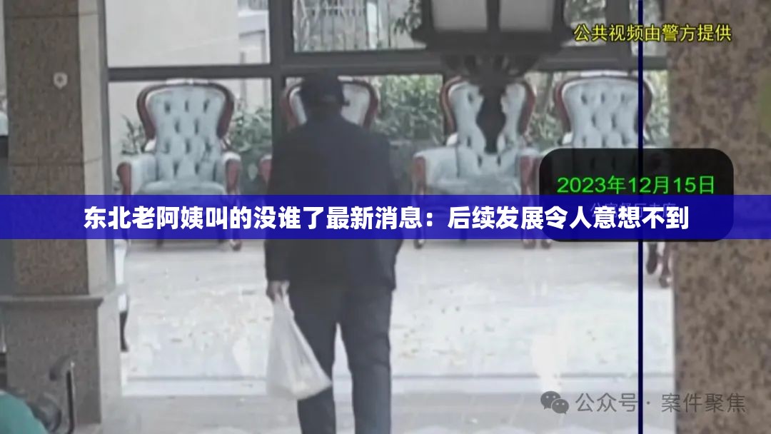 东北老阿姨叫的没谁了最新消息：后续发展令人意想不到
