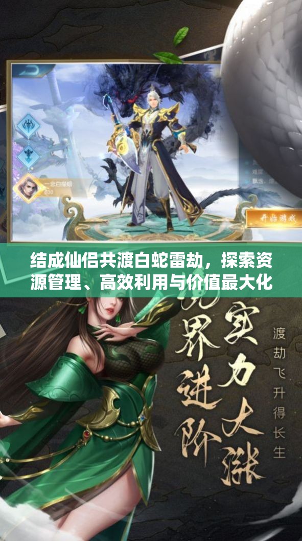 结成仙侣共渡白蛇雷劫，探索资源管理、高效利用与价值最大化之道