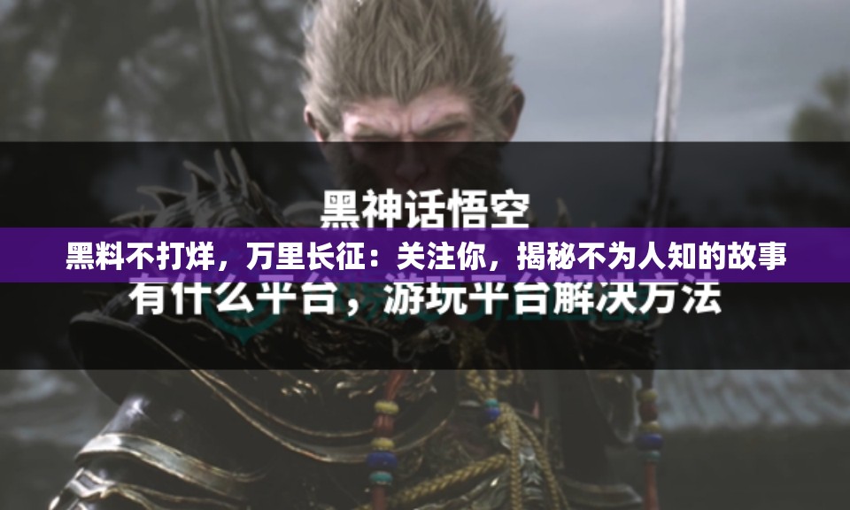 黑料不打烊，万里长征：关注你，揭秘不为人知的故事