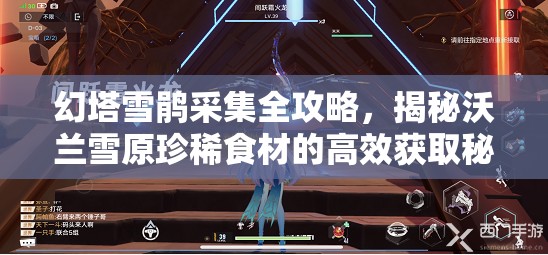 幻塔雪鹃采集全攻略，揭秘沃兰雪原珍稀食材的高效获取秘籍