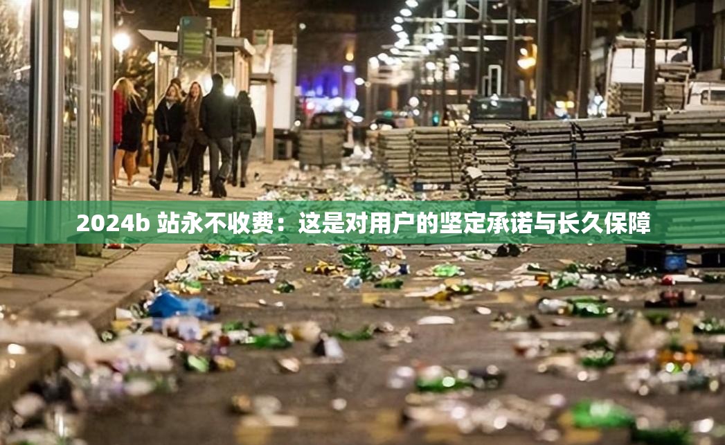 2024b 站永不收费：这是对用户的坚定承诺与长久保障