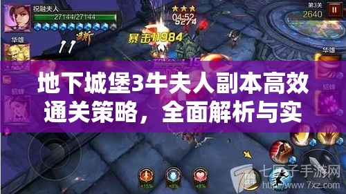 地下城堡3牛夫人副本高效通关策略，全面解析与实战技巧指南