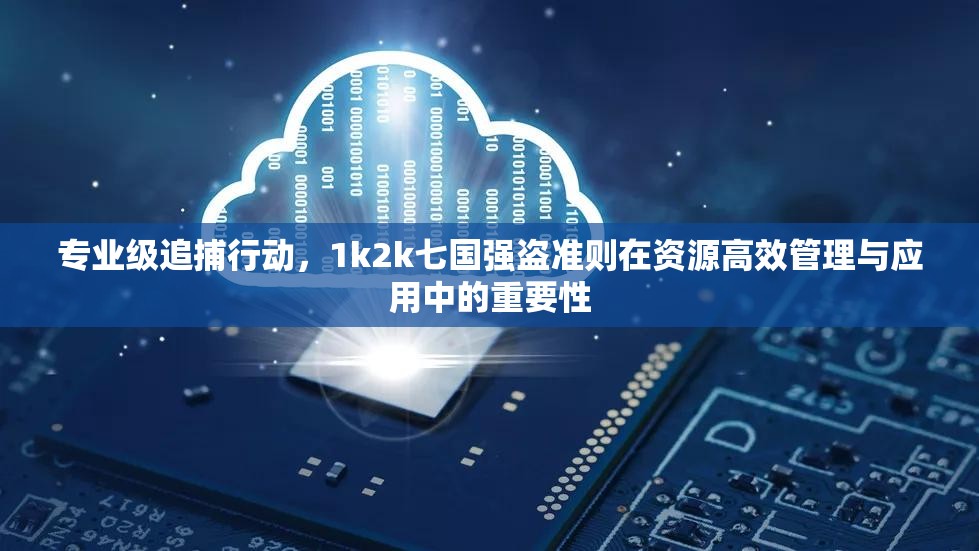 专业级追捕行动，1k2k七国强盗准则在资源高效管理与应用中的重要性