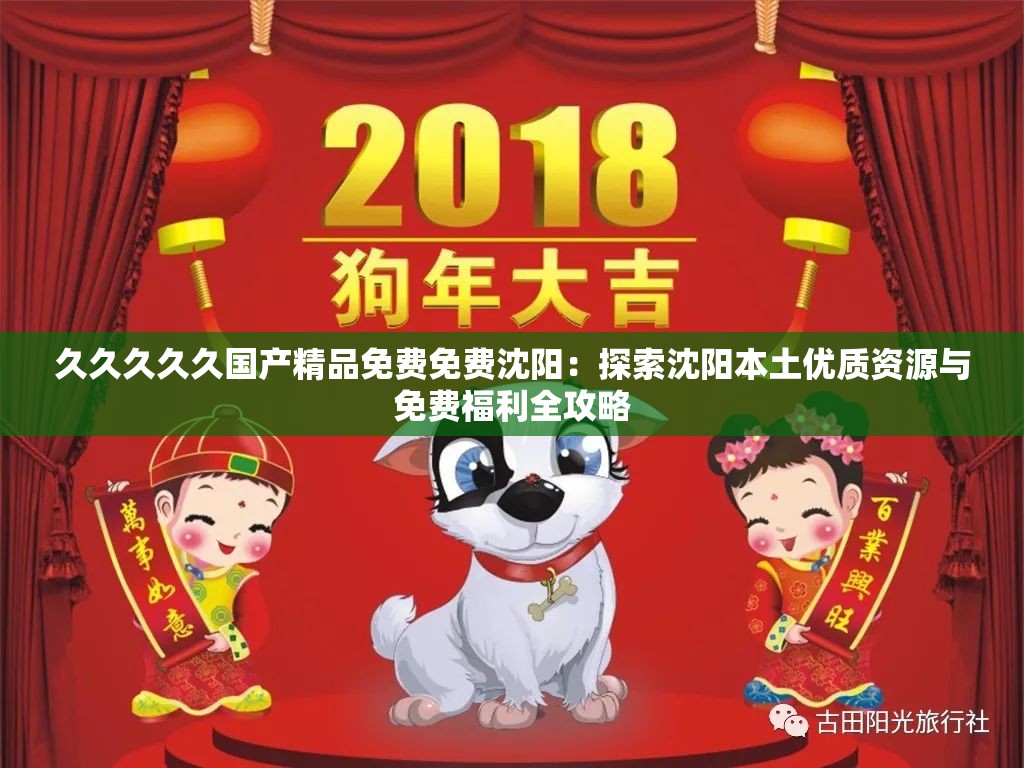 久久久久久国产精品免费免费沈阳：探索沈阳本土优质资源与免费福利全攻略