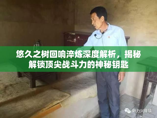 悠久之树回响淬炼深度解析，揭秘解锁顶尖战斗力的神秘钥匙
