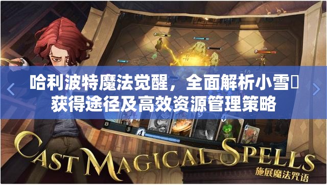 哈利波特魔法觉醒，全面解析小雪鸮获得途径及高效资源管理策略