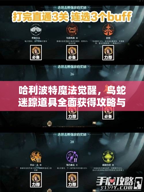 哈利波特魔法觉醒，鸟蛇迷踪道具全面获得攻略与高效资源管理策略