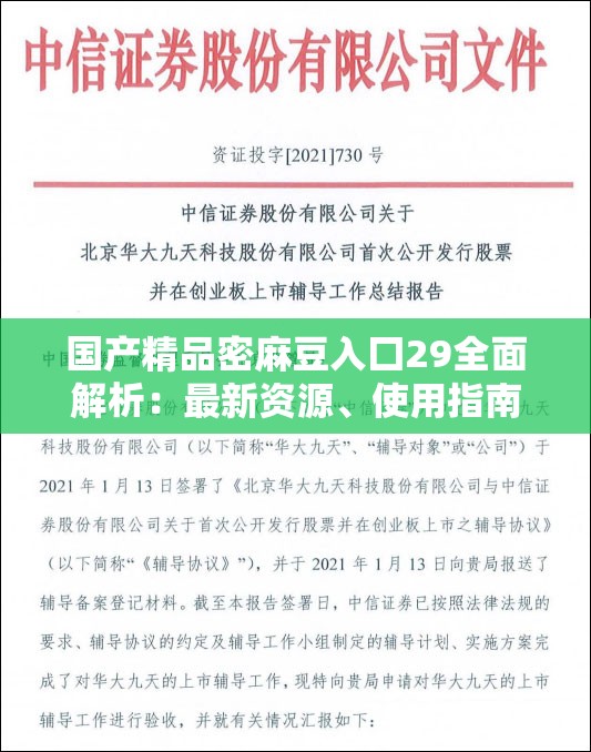 国产精品密麻豆入囗29全面解析：最新资源、使用指南与用户反馈大揭秘