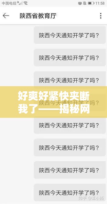 好爽好紧快夹断我了——揭秘网络热门话题背后的真实体验与情感共鸣