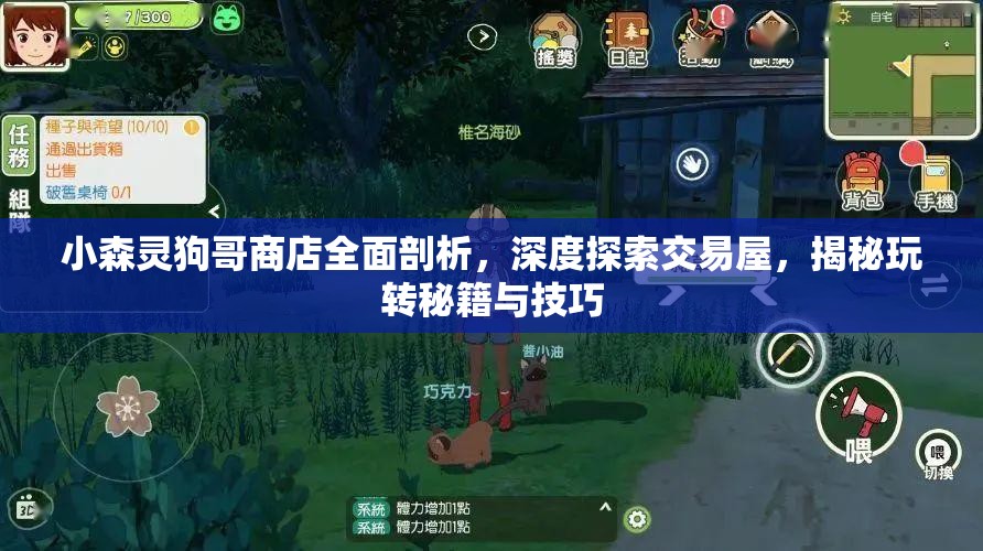 小森灵狗哥商店全面剖析，深度探索交易屋，揭秘玩转秘籍与技巧