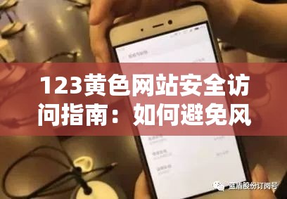 123黄色网站安全访问指南：如何避免风险并保护个人隐私信息？