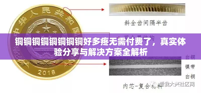 铜铜铜铜铜铜铜铜好多疼无需付费了，真实体验分享与解决方案全解析