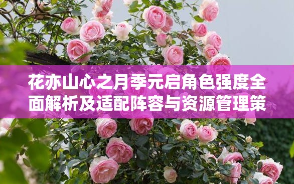 花亦山心之月季元启角色强度全面解析及适配阵容与资源管理策略