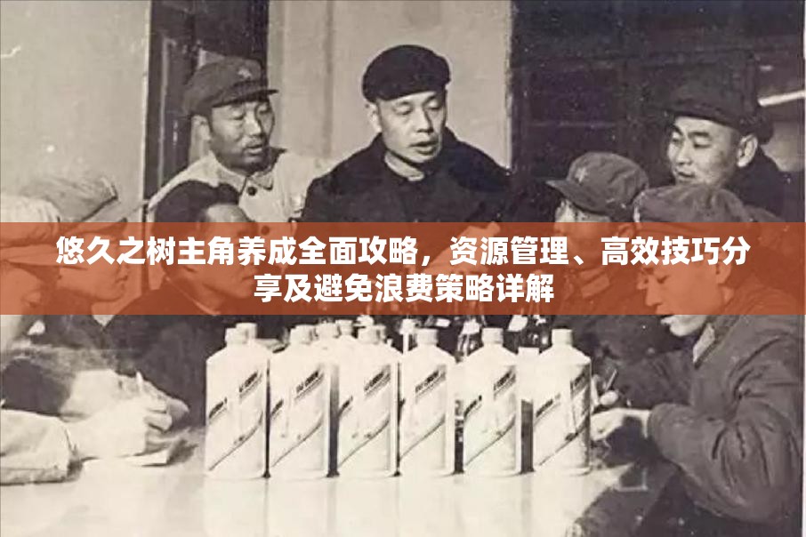 悠久之树主角养成全面攻略，资源管理、高效技巧分享及避免浪费策略详解