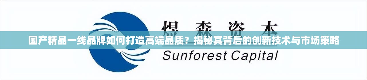 国产精品一线品牌如何打造高端品质？揭秘其背后的创新技术与市场策略
