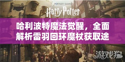 哈利波特魔法觉醒，全面解析雷羽回环魔杖获取途径与资源管理策略
