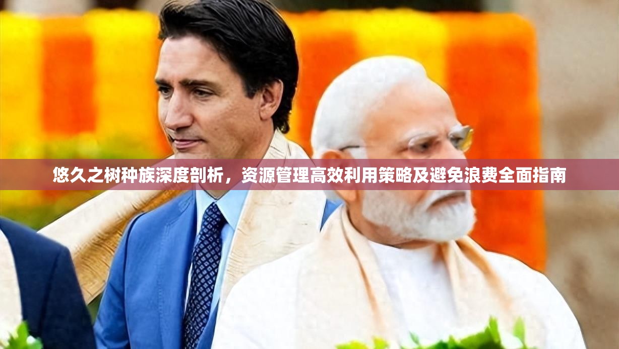 悠久之树种族深度剖析，资源管理高效利用策略及避免浪费全面指南