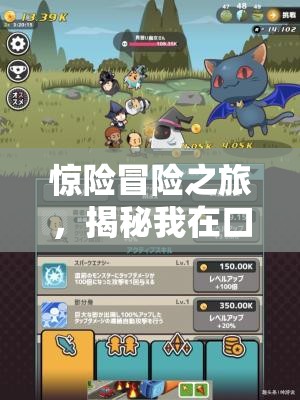 惊险冒险之旅，揭秘我在口袋异世界阿斯加德阵营的高效情报管理策略