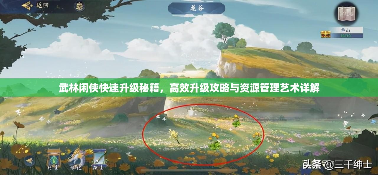 武林闲侠快速升级秘籍，高效升级攻略与资源管理艺术详解