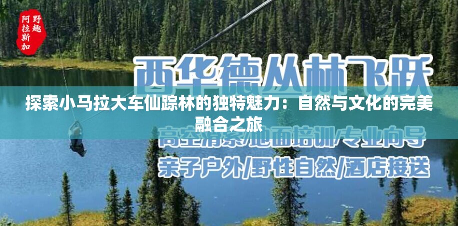 探索小马拉大车仙踪林的独特魅力：自然与文化的完美融合之旅