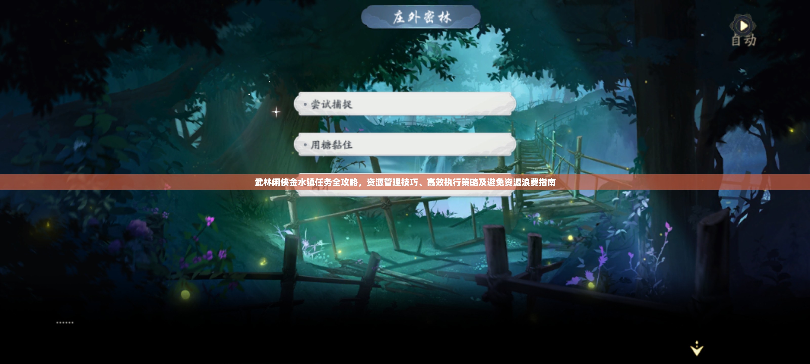 武林闲侠金水镇任务全攻略，资源管理技巧、高效执行策略及避免资源浪费指南