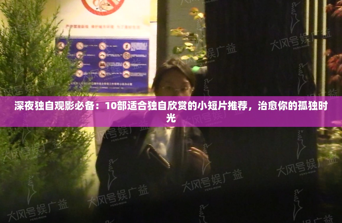 深夜独自观影必备：10部适合独自欣赏的小短片推荐，治愈你的孤独时光