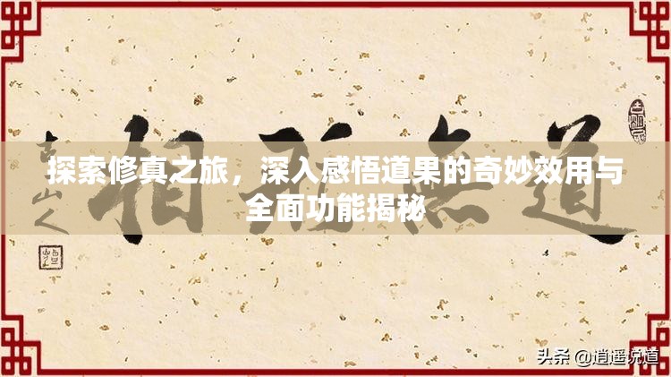 探索修真之旅，深入感悟道果的奇妙效用与全面功能揭秘