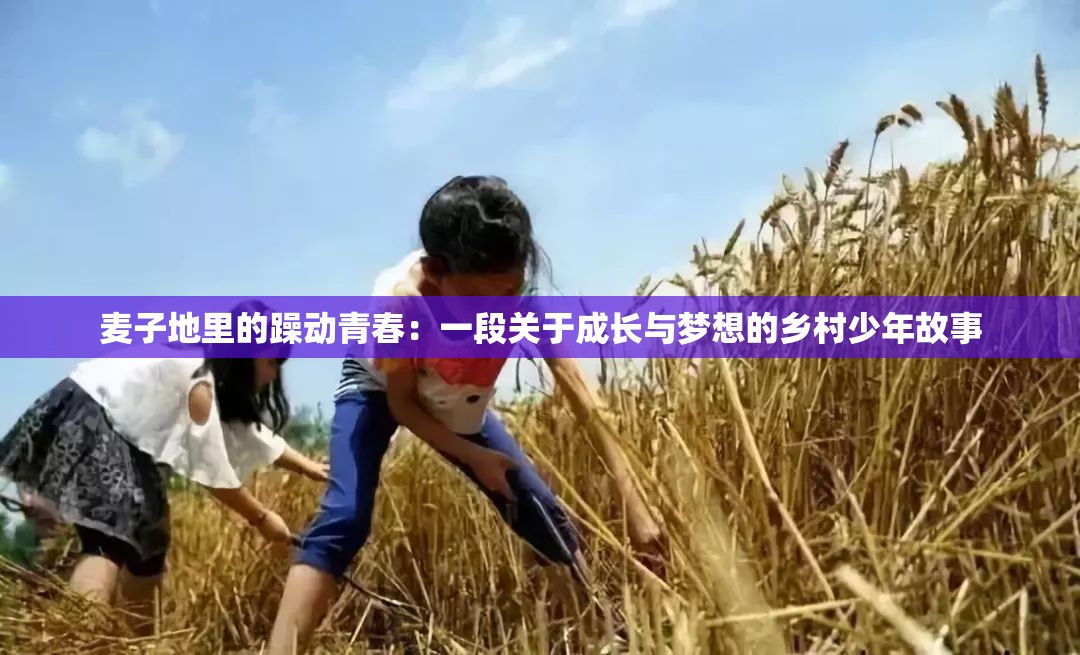 麦子地里的躁动青春：一段关于成长与梦想的乡村少年故事
