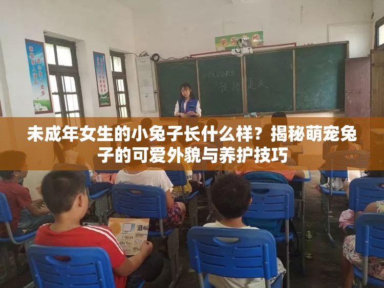 未成年女生的小兔子长什么样？揭秘萌宠兔子的可爱外貌与养护技巧