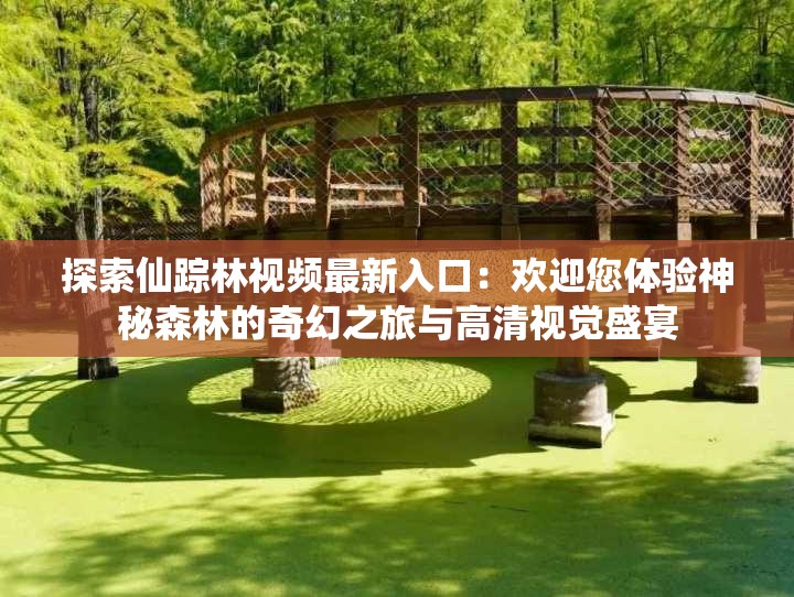 探索仙踪林视频最新入口：欢迎您体验神秘森林的奇幻之旅与高清视觉盛宴