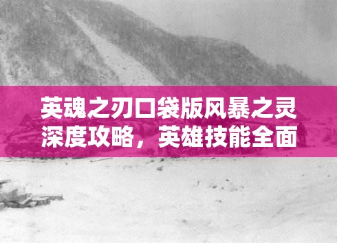英魂之刃口袋版风暴之灵深度攻略，英雄技能全面解析与高效资源管理技巧