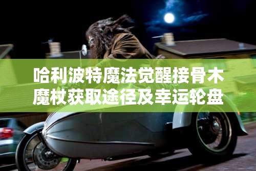 哈利波特魔法觉醒接骨木魔杖获取途径及幸运轮盘抽奖详解攻略