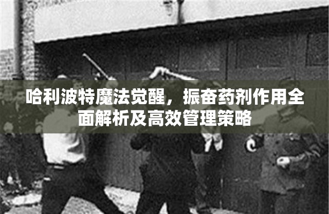 哈利波特魔法觉醒，振奋药剂作用全面解析及高效管理策略