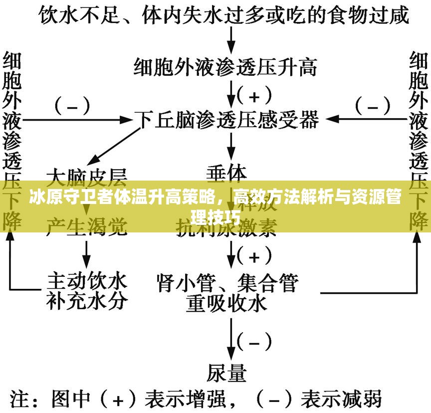冰原守卫者体温升高策略，高效方法解析与资源管理技巧