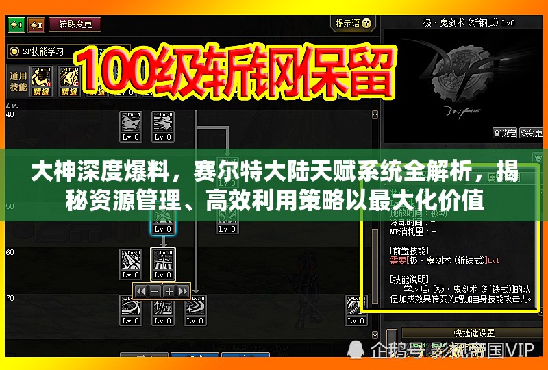 大神深度爆料，赛尔特大陆天赋系统全解析，揭秘资源管理、高效利用策略以最大化价值