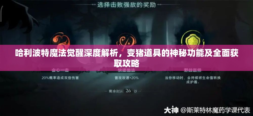 哈利波特魔法觉醒深度解析，变猪道具的神秘功能及全面获取攻略