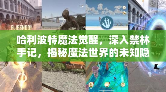 哈利波特魔法觉醒，深入禁林手记，揭秘魔法世界的未知隐藏宝藏之旅