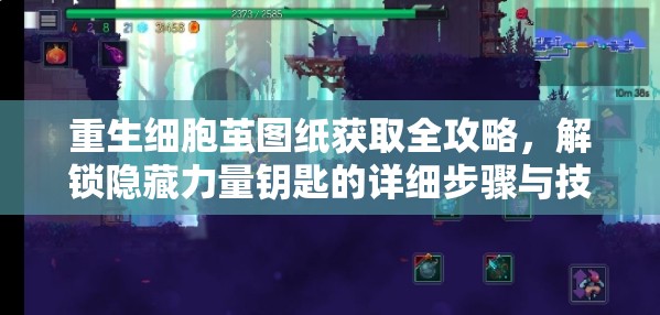 重生细胞茧图纸获取全攻略，解锁隐藏力量钥匙的详细步骤与技巧