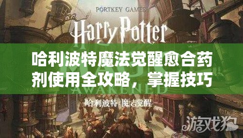 哈利波特魔法觉醒愈合药剂使用全攻略，掌握技巧，提升团队生存能力