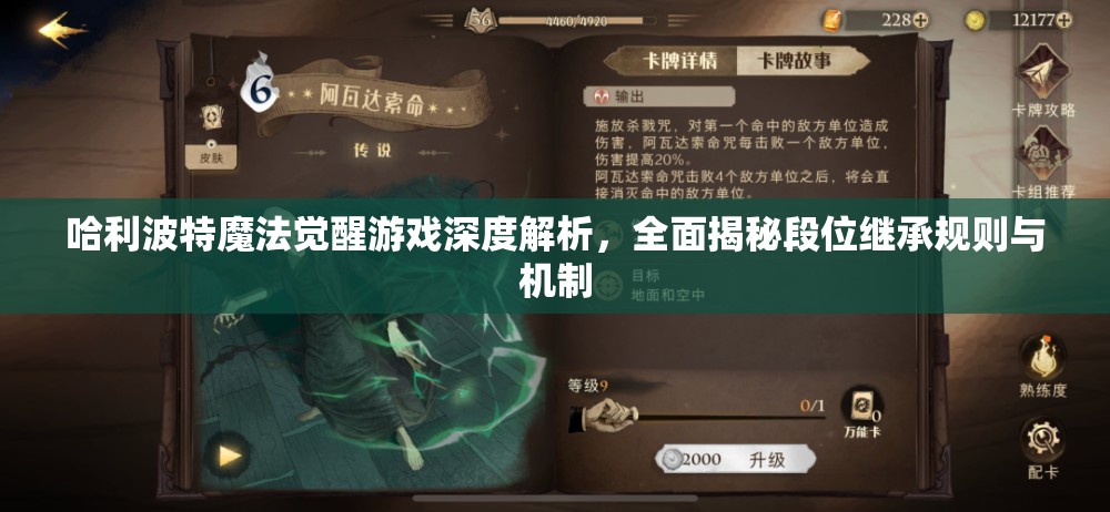 哈利波特魔法觉醒游戏深度解析，全面揭秘段位继承规则与机制