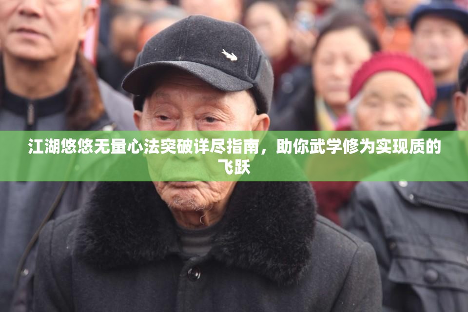 江湖悠悠无量心法突破详尽指南，助你武学修为实现质的飞跃