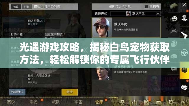 光遇游戏攻略，揭秘白鸟宠物获取方法，轻松解锁你的专属飞行伙伴