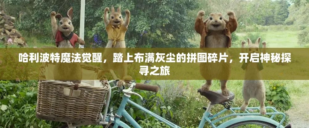 哈利波特魔法觉醒，踏上布满灰尘的拼图碎片，开启神秘探寻之旅